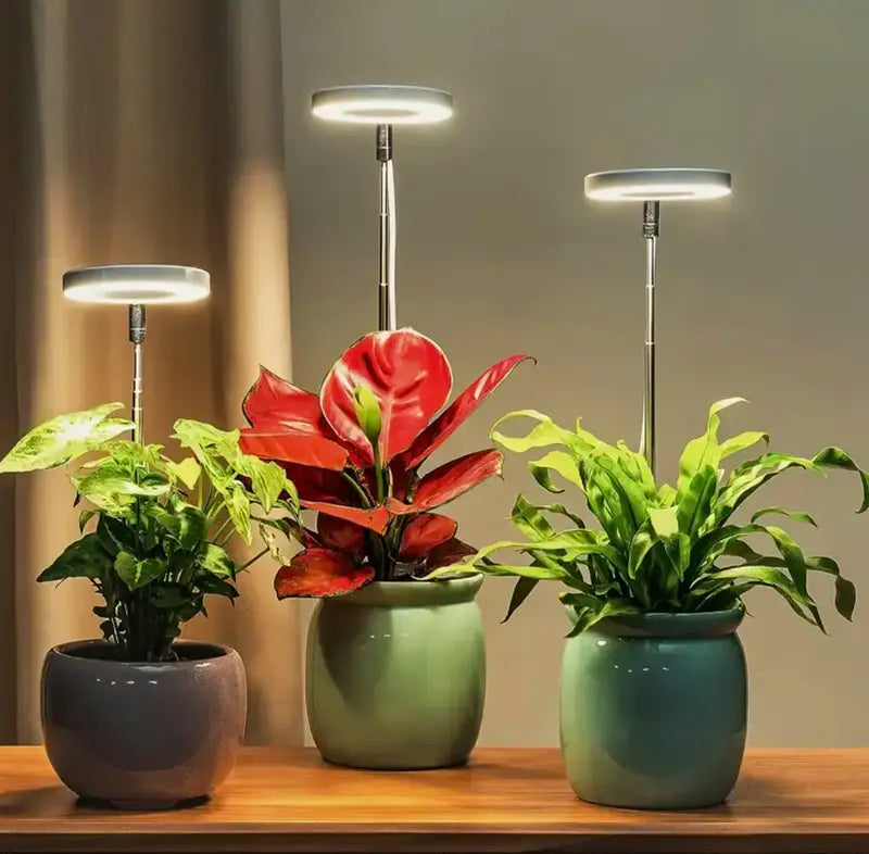 Lisslune | Plant lamp with full spectrum and adjustable stand