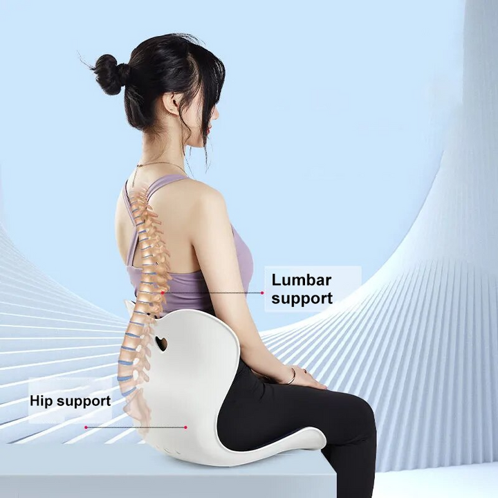 Lisslune | Back Support Memory Foam Seat Cushion