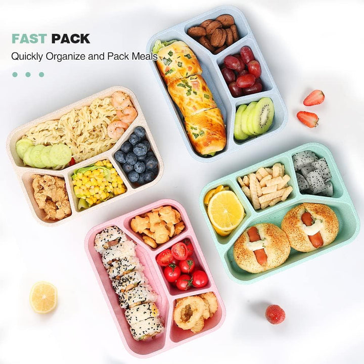 Lisslune | 4-Pack Bento Snack Box – 4 Compartments