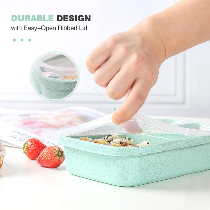 Lisslune | 4-Pack Bento Snack Box – 4 Compartments