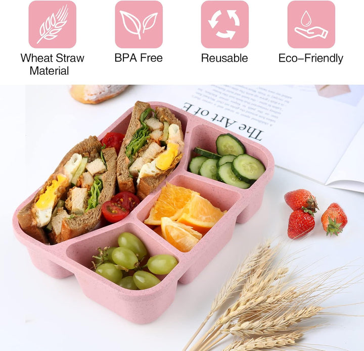 Lisslune | 4-Pack Bento Snack Box – 4 Compartments