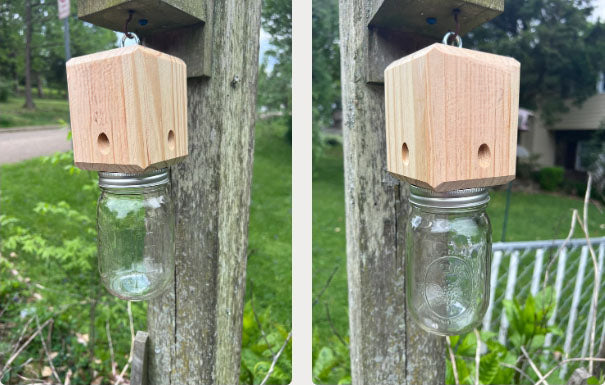 Lisslune | BeeGone - Zimmerman bee trap