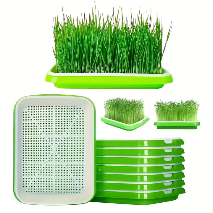 Lisslune | Germination trays with lid – Double-layer seed sowing tray for effective seed germination