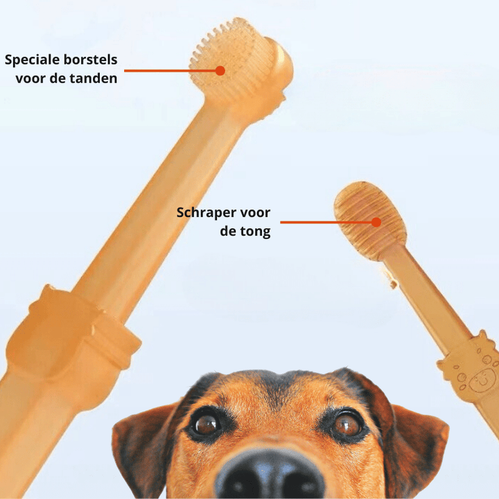Lisslune | DOGGYDENT – Silicone finger toothbrush for gentle dental care for dogs & cats
