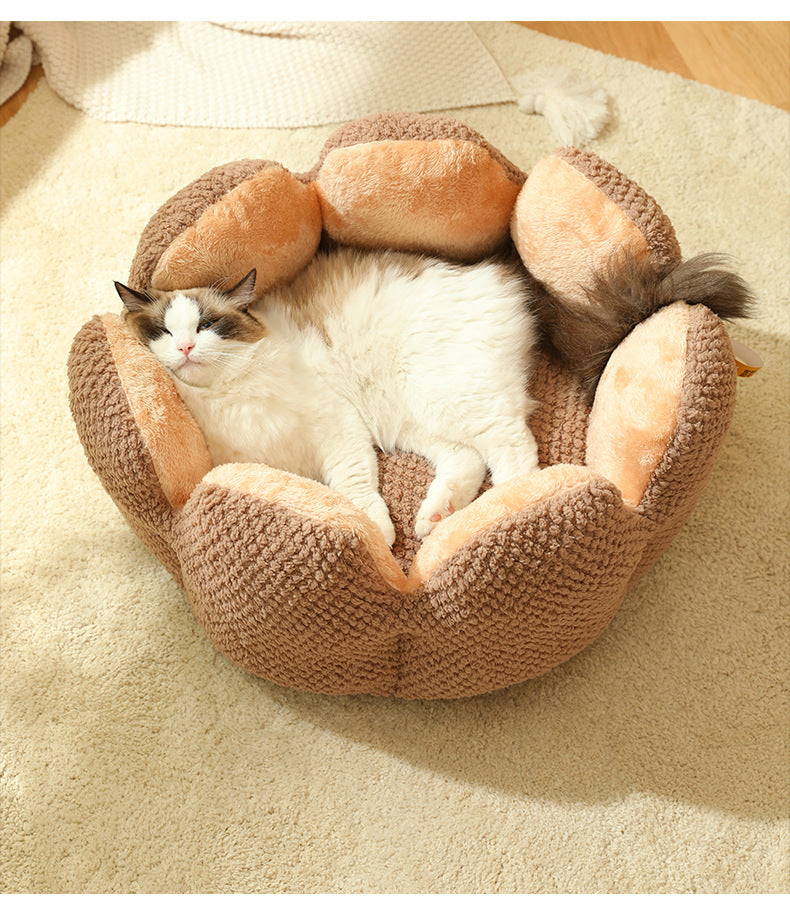 Lisslune | Warm Cactus Bed