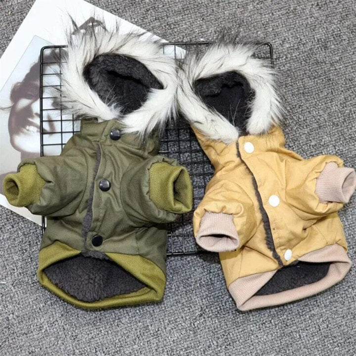 Lisslune | warm dog jacket