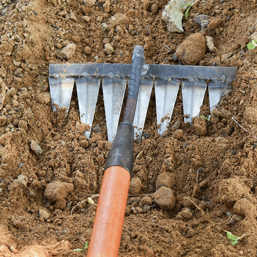 Lisslune | Iron Weed Control