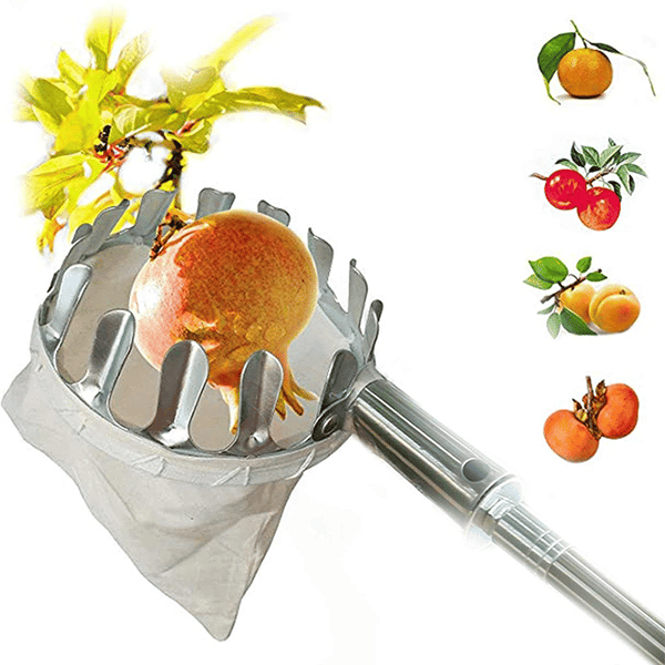 Lisslune | Fruit Picker Head Basket