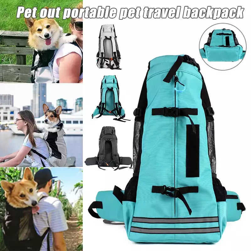 Lisslune | Dog carrier