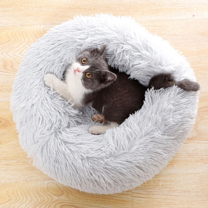 Lisslune | Cat Sky bed