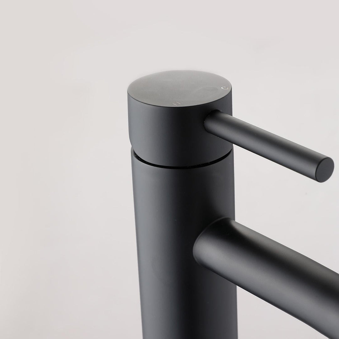 Lisslune | Matte black cold water single faucets for sink installation