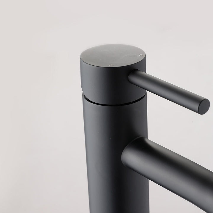 Lisslune | Matte black cold water single faucets for sink installation