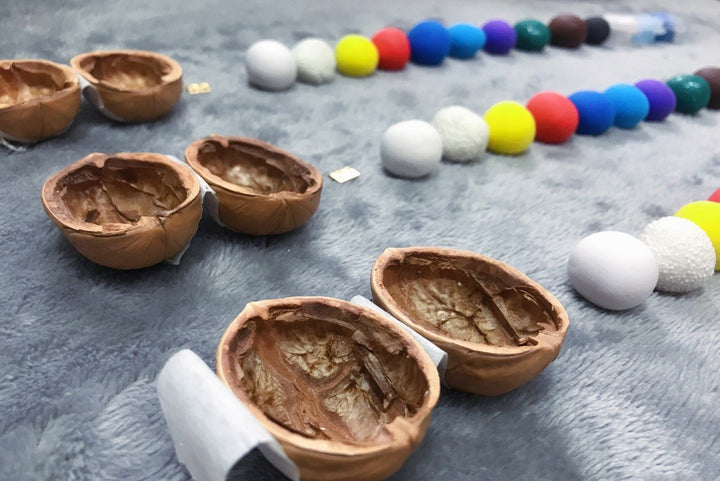 Lisslune | Handmade.Walnut Shell Doll House--Mini Library, Tiny World Inside Walnuts