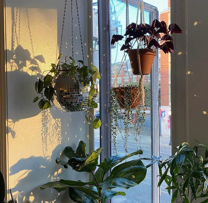 Lisslune | Disco Ball Hanging Planter