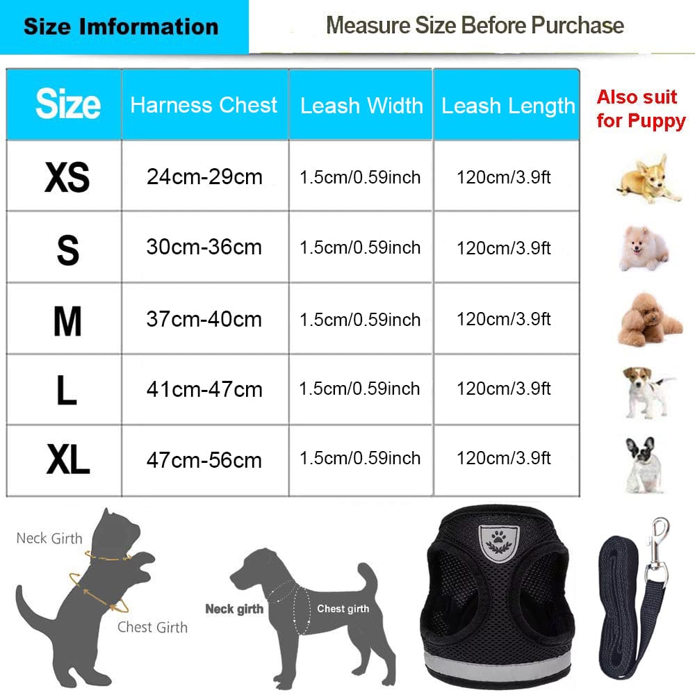 Lisslune | Cat collar and leash