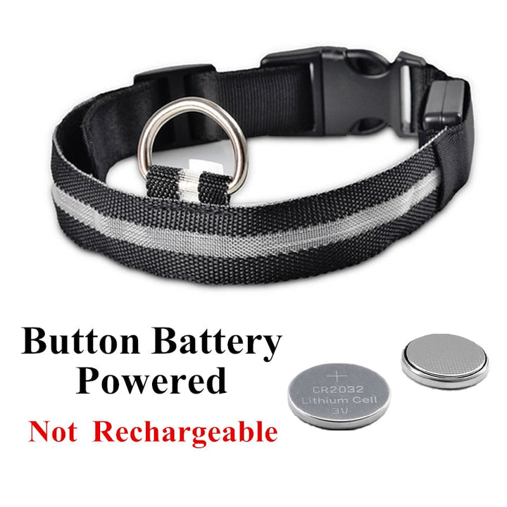 Lisslune | Adjustable LED collar