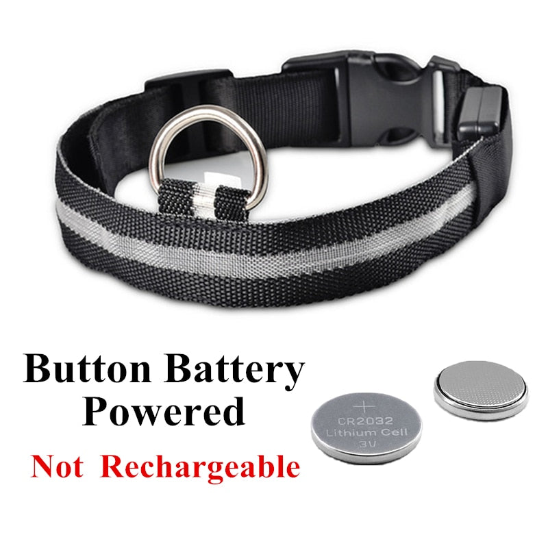 Lisslune | Adjustable LED collar