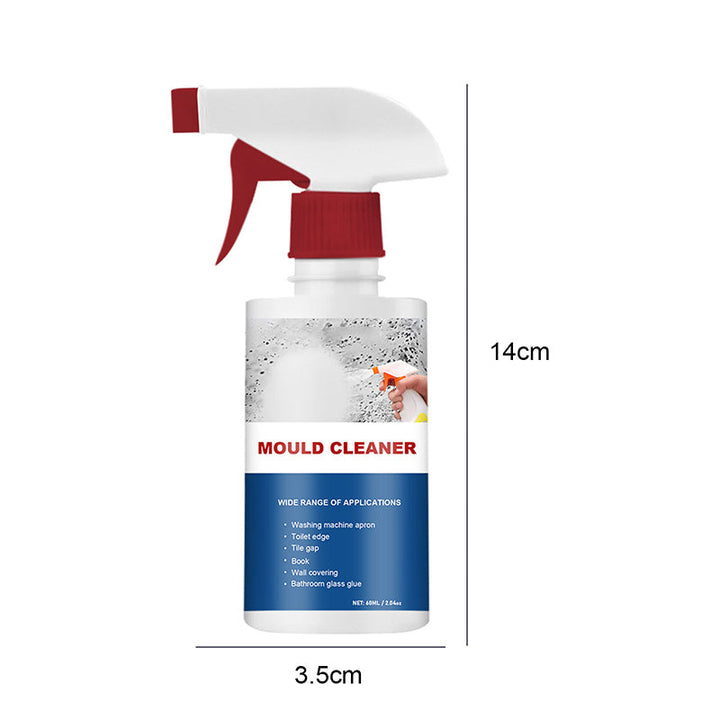 Lisslune | Anti-Mold Cleaning Foam