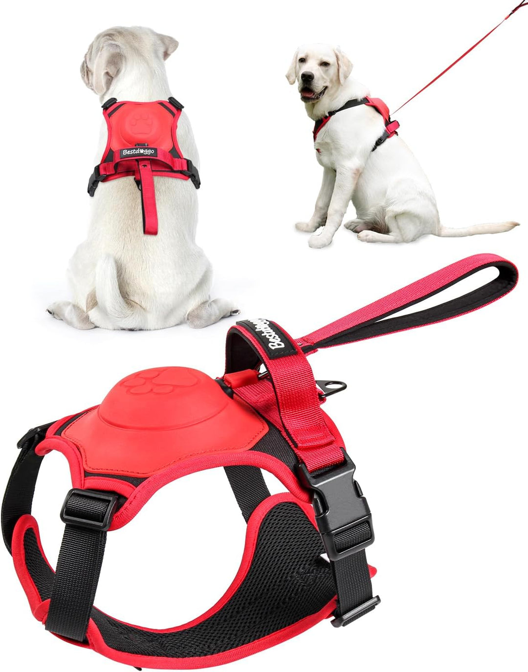 Lisslune | mamymarket™ - Dog Harness and Retractable Leash Set All-in-One