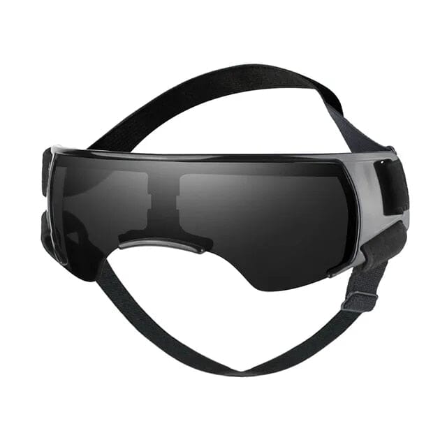 Lisslune | Pet Sunglasses