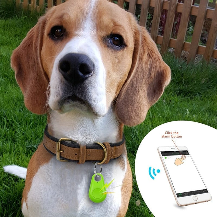 Lisslune | Bluetooth and GPS Pet Wireless Tracker