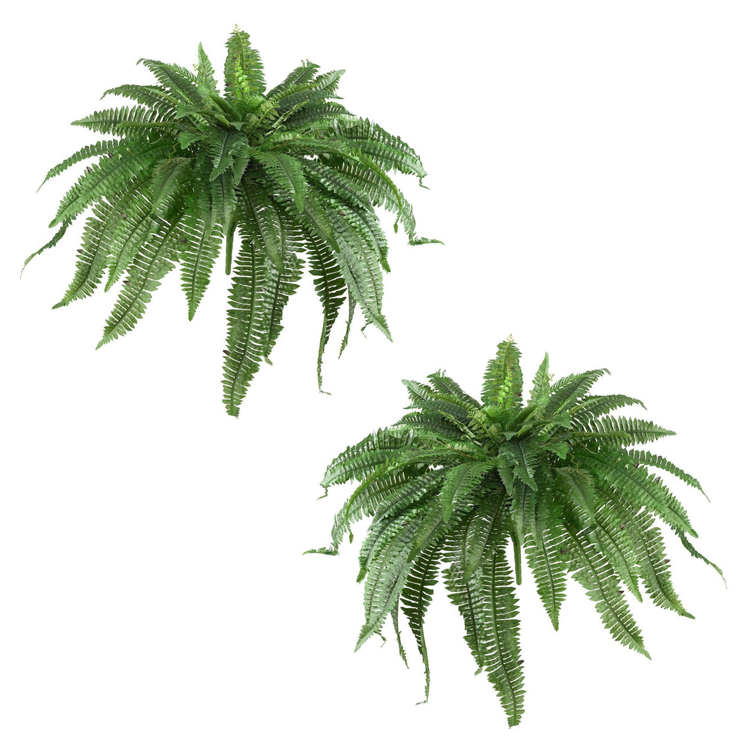 Lisslune | 48” Boston Farn (Set of 2)