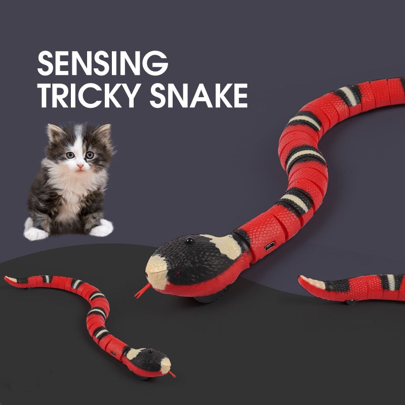 Lisslune | Automatic Electronic Snake Cat Toy