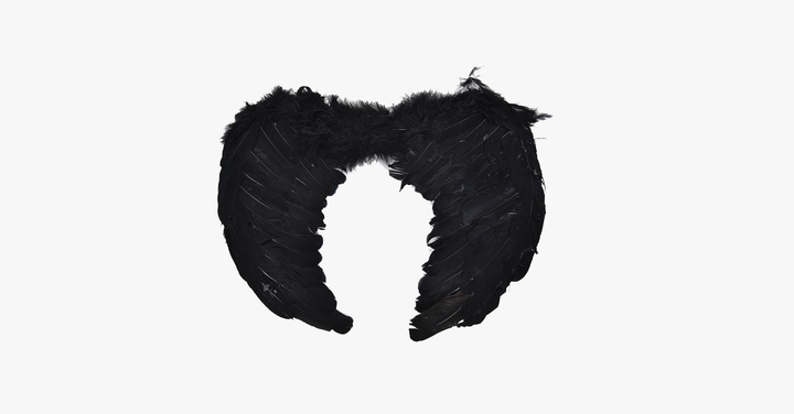 Lisslune | Angel Wings Halloween Costume