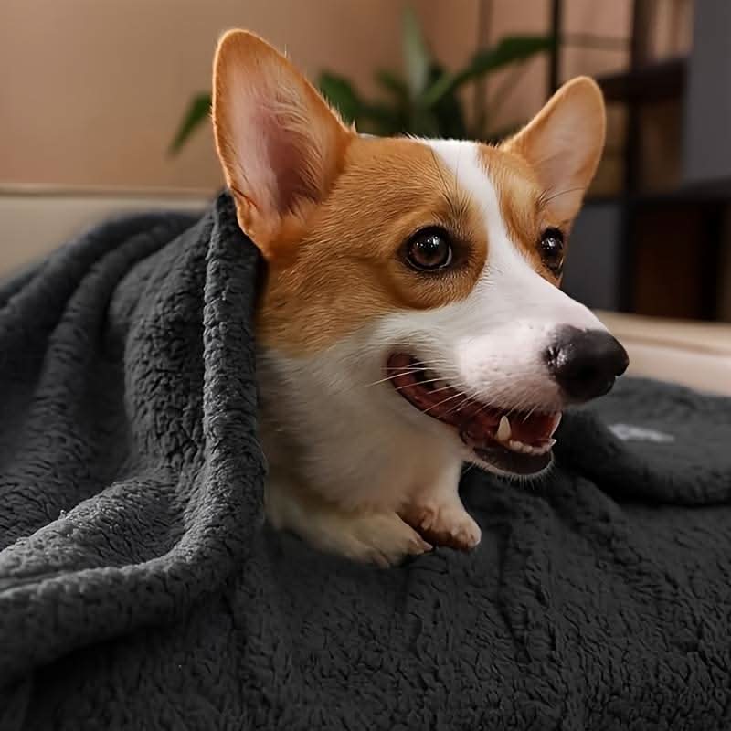 Lisslune | FLOOPIE - Premium Pet Fleece Blanket