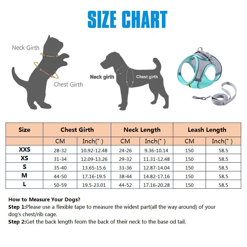Lisslune | Small pet harness and leash set
