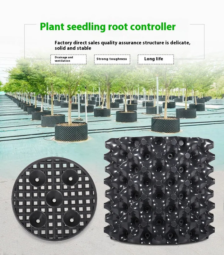 Lisslune | Root control device for plants and landscaping to promote healthy growth