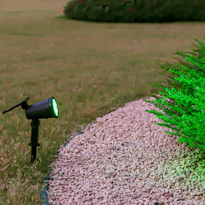 Lisslune | Power Glow Solar Light