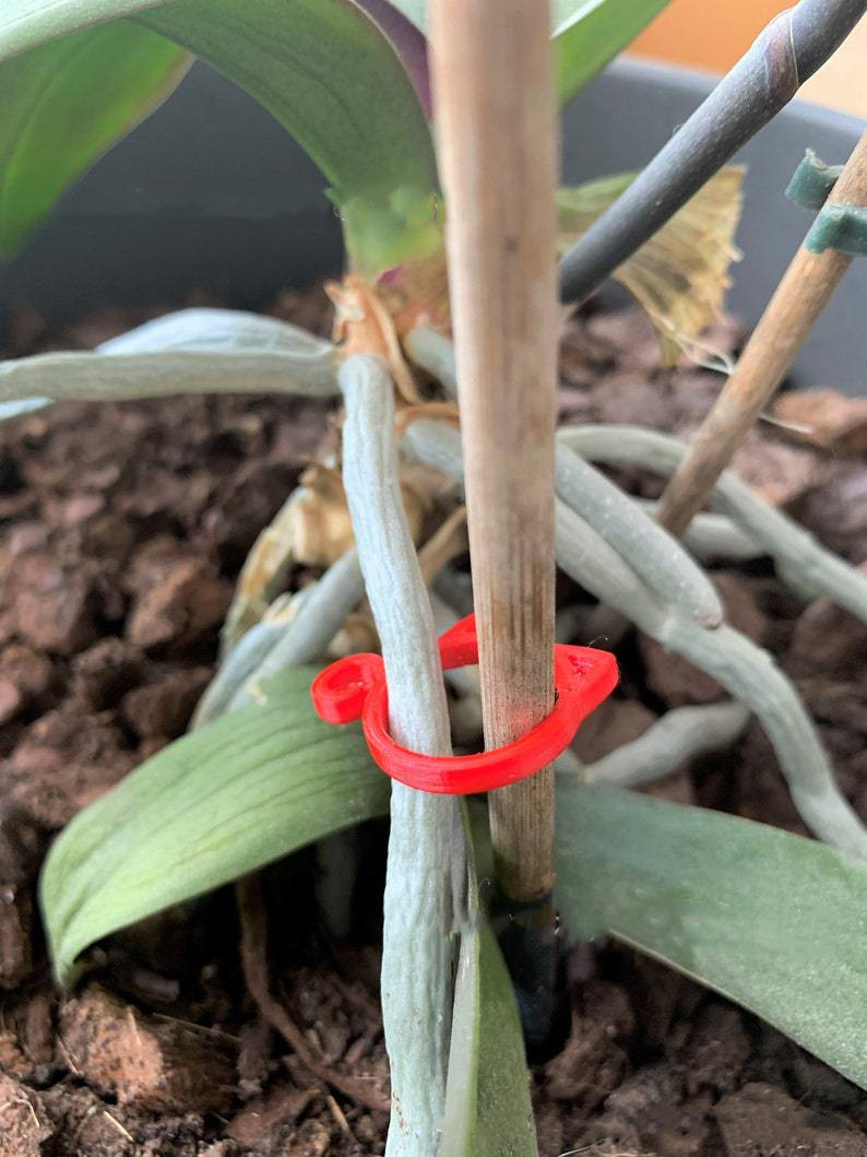 Lisslune | Cat-shaped Plant Clip – Cute Plant Support for Garden and House Plants