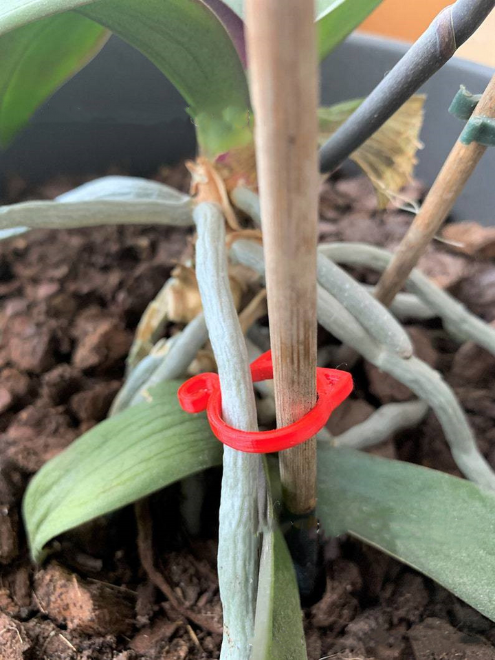 Lisslune | Cat-shaped Plant Clip – Cute Plant Support for Garden and House Plants