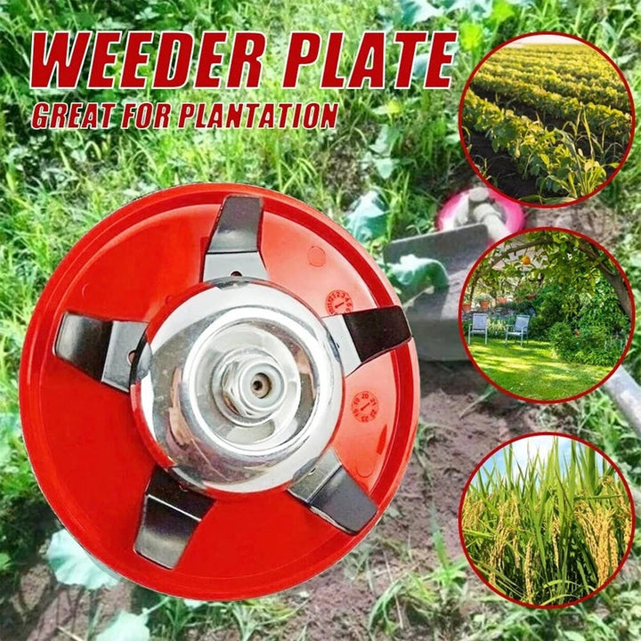 Lisslune | Multifunctional Weed Rack