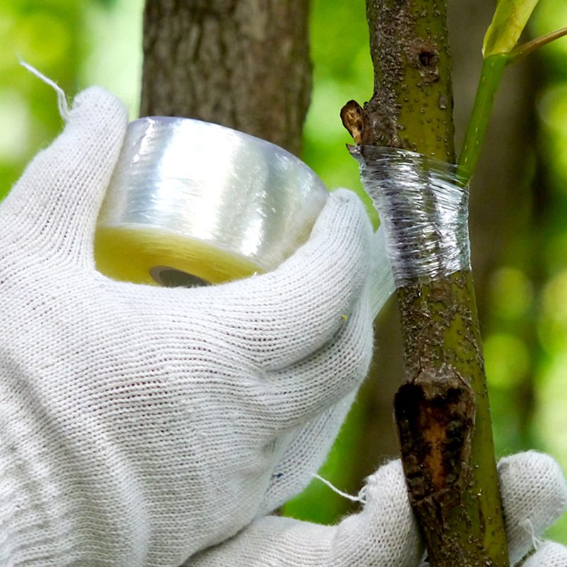 Lisslune | Grafting tape for plants – Self-adhesive grafting tape for tree pruning and grafting