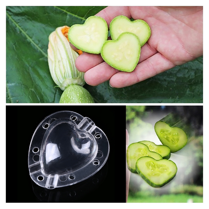 Lisslune | Heart Shaped Vegetable Cutter – Creative Mold Bowl for Vegetables and Fruits