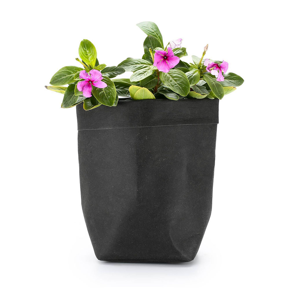 Lisslune | Stylish plant pots made of paper for modern decoration