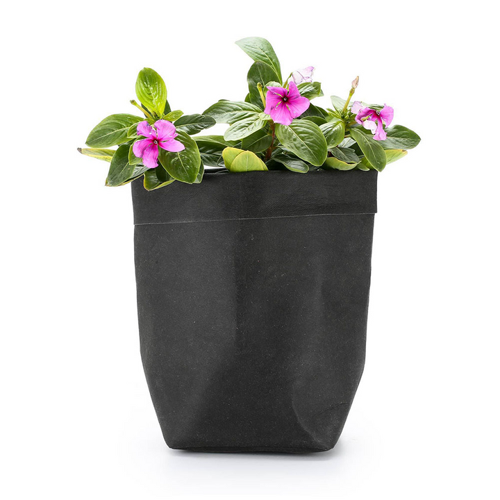 Lisslune | Stylish plant pots made of paper for modern decoration