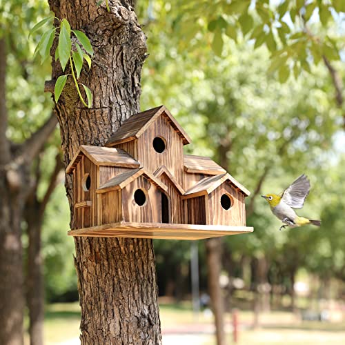 Lisslune | 6-Hole Handmade Birdhouse