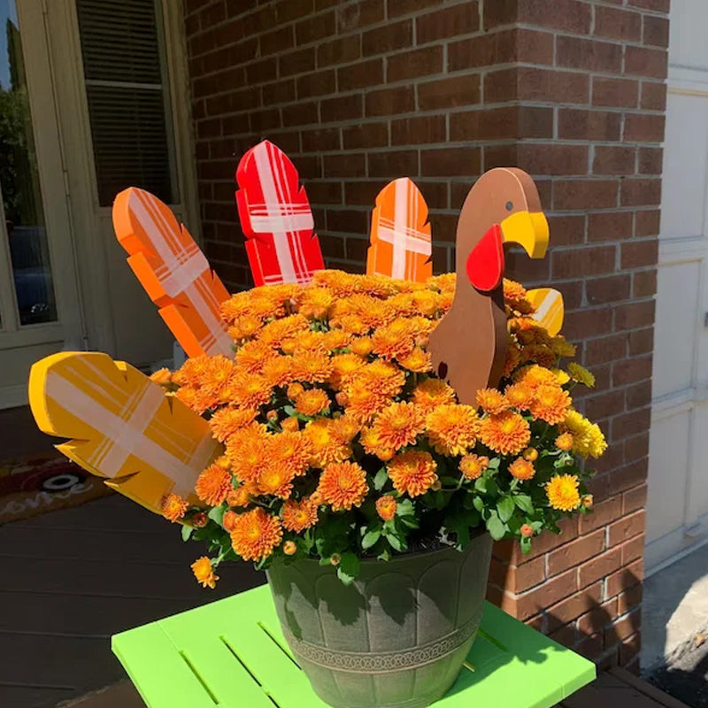 Lisslune | Thanksgiving Turkey Decorating