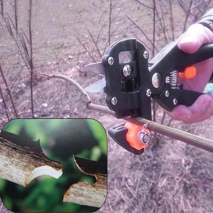 Lisslune | Refinement scissors for garden – Precise cutting tools for grafting and refining plants