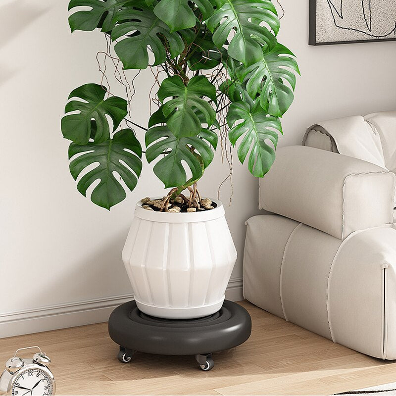 Lisslune | 360 Rotating Wheeled Rolling Stool