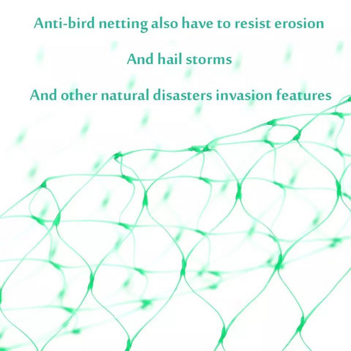 Lisslune | Protective net for garden plants – Green net against pests and animals