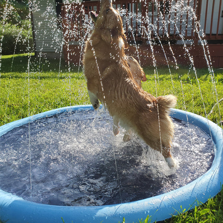 Lisslune | Folding Pet Bathing Pad