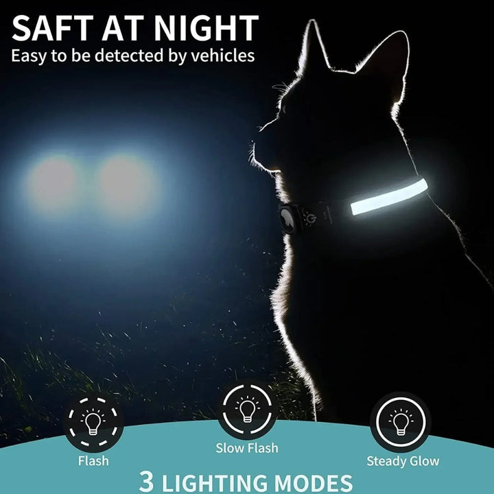 Lisslune | Flashing Dog Collars – Waterproof LED Light Up Dog Collar with USB Rechargeable Glow, Dog Collars Illuminated for Night Safety, All Sizes