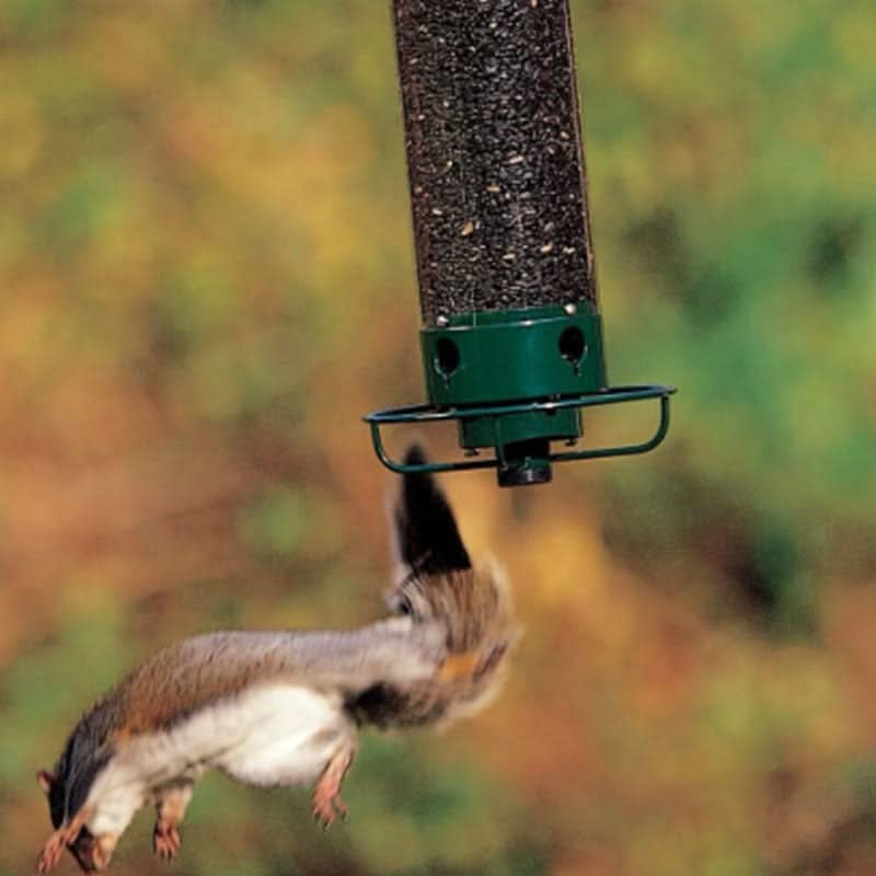 Lisslune | Squirrel-Proof Bird Feeder – 5lb Seed Tube with 4 Ports