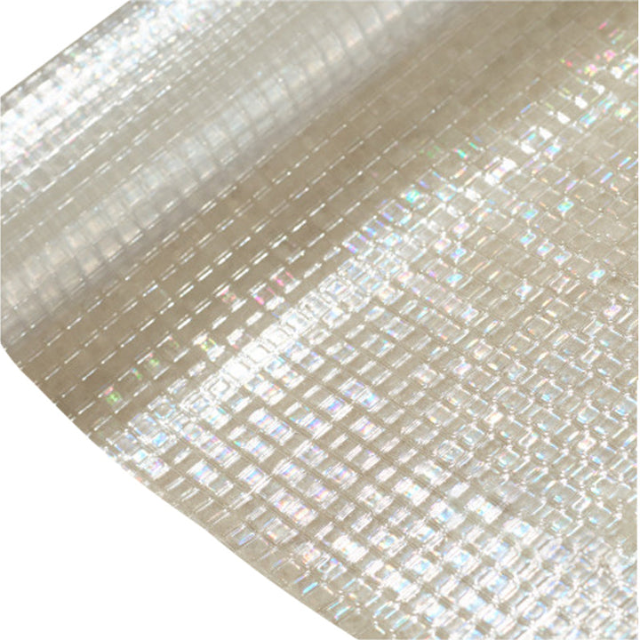 Lisslune | Rainbow Window Privacy Film