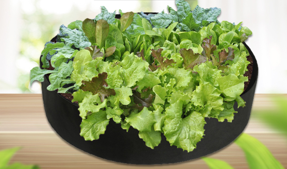 Lisslune | Round Plant Growth Bag – Garden Container for Easy Plant Growth