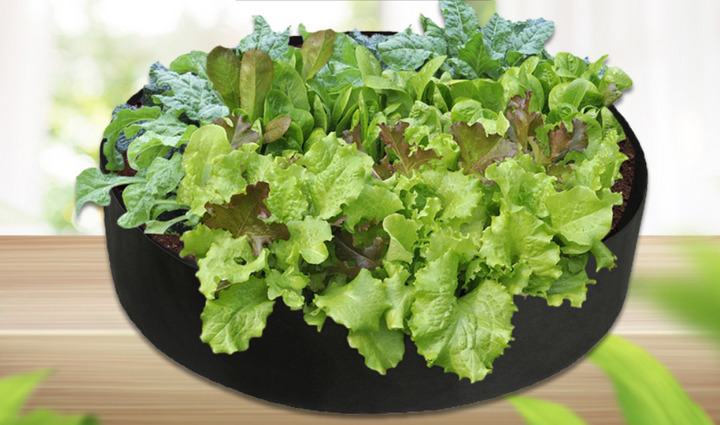 Lisslune | Round Plant Growth Bag – Garden Container for Easy Plant Growth